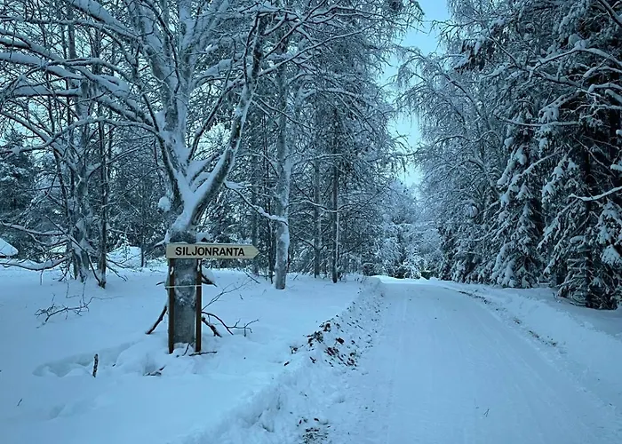 Siljonranta Chalet *